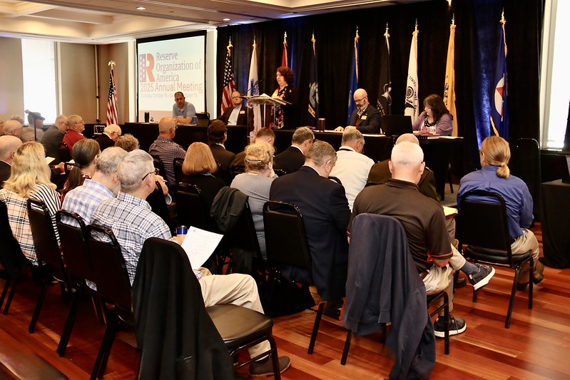 54892659108_dae0211f67_c